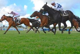 Domenica 24 ottobre grande galoppo a Capannelle con JOCKEY CLUB, DORMELLO e GRAN CRITERIUM