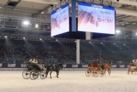 Eleganza e Tradizione con il G.I.A. in Fieracavalli