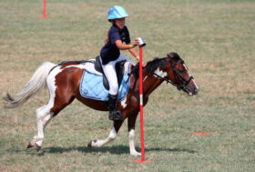 Proposte di modifiche al Regolamento Pony Club