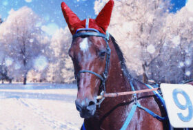 Ippodromo Bologna Arcoveggio: Presentazione delle corse di sabato 1 gennaio 2022 – Grandi guide a Capodanno