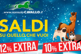 Saldi ULTIMO GIORNO: 12% Extra Sconto con Tessera Premium | 10% Extra Sconto per tutti codice SALDI22
