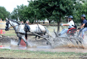 Attacchi: Finalmente in Campo!