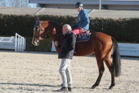 Equieffe Equestrian Centre di Gorla Minore: prima tappa di una serie di incontri per la preparazione dei giovani cavalli