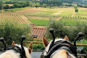 Attacchi: EquiTurismo per “Green lovers”