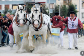 Attacchi: Voilà, la Route du Poisson!