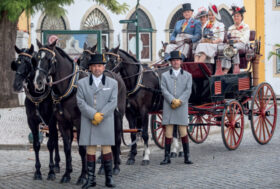 Attacchi: Tradizione Iberica nella piccola cittadina di Golegã, la “Capital do Cavalo”