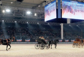 Attacchi: Giri di Valzer