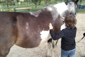 “Riding the Blue – Un cavallo per amico