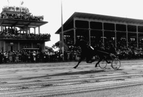 Ippodromo Cesena Trotto: cento anni di storia