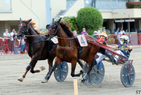Ippodromo Arcoveggio Bologna: presentazione delle corse di giovedì 19 maggio