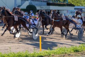 Ippodromo Arcoveggio Bologna: presentazione delle corse di domenica 8 maggio