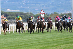 In 10.000 a Capannelle per l’Italian Guineas Day: nel Parioli vince a sorpresa See Hector, nel Regina Elena trionfa Swipe Up