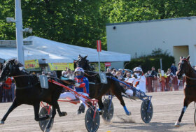 Ippodromo Arcoveggio Bologna: presentazione delle corse di giovedì 12 maggio