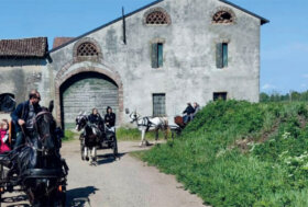 Ritorna la Trottata Frisona!