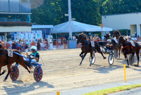 Ippodromo Arcoveggio Bologna: resoconto corse 2 giugno