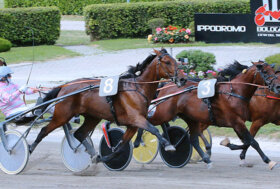 Ippodromo Arcoveggio Bologna: presentazione corse di giovedì 2 giugno