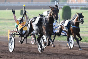 Capannelle: mercoledì 29 giugno si chiude in bellezza con i Grandi Premi Triossi, Turilli e Carena