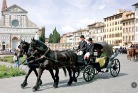 Rivivono i Cocchi del Marzocco della Firenze storica