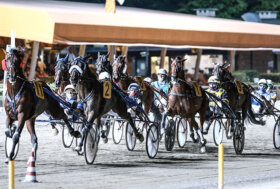 Ippodromo Cesena Trotto: GP del Centenario