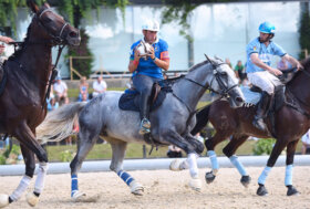 Coppa del Mondo Horse Ball di Saint Lo: inviate le iscrizioni nominative degli azzurri