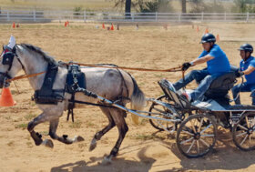 Intenso Weekend di Sport