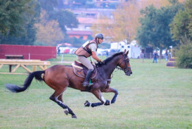 Portale terzo a Strzegom