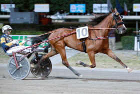 Ippodromo Cesena Trotto: resoconto delle corse di sabato 9 luglio – GP Riccardo Grassi – Trofeo Romagna Iniziative