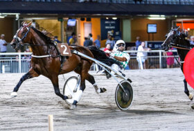 Ippodromo Cesena Trotto: resoconto delle corse di sabato 2 luglio 2022