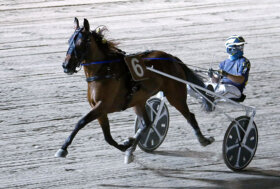 Ippodromo Cesena Trotto: resoconto delle corse e collaterali di martedì 12 luglio 2022