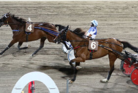 Ippodromo Cesena Trotto: resoconto delle corse di venerdì 15 luglio 2022