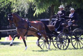 Cividini e Grasso in Francia