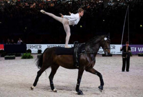 Volteggio: Mondiali Herning. Ecco gli azzurri