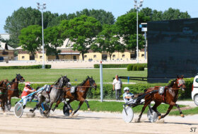 Ippodromo Arcoveggio Bologna: presentazione delle corse di giovedì 22 settembre