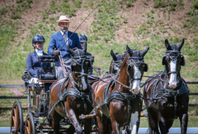 In bocca al lupo, Luca!