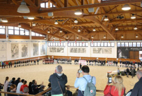 Umbria e Lombardia protagoniste della Coppa delle regioni di Dressage