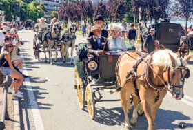 Attacchi: Sembrava di essere nel ‘900…