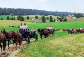 Attacchi: Carrozze nel cuore del Giura