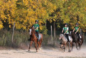 Si è concluso il Campionato Lombardo di Endurance Pony e Concorso di Sviluppo 2022