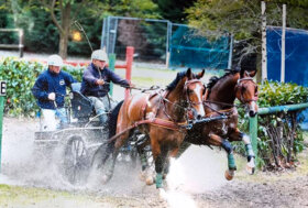 Dibak nono a Lipizza