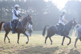 Azzurri sugli scudi a Fontainebleau e Carmona