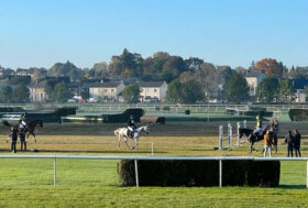 Le prove di binomi azzurri al mondiale di Le Lion d’Angers