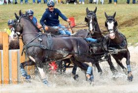 Appuntamenti Gruppo Italiano Attacchi 2023