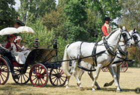 Voglia di Tradizione! La Lodovica: ogni volta un piacere!