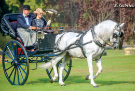 Attacchi: Viaggiando nel tempo