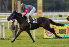 Le corse a San Rossore domenica 1° Gennaio