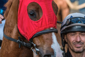 Le corse a San Rossore Giovedì 8 Dicembre 2022