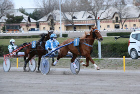 Arcoveggio: presentazione delle corse di giovedì 5 gennaio 2023