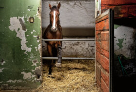 BOX 202: inaugurata mostra fotografica a Palazzo d’Accursio con immagini di Andrea Bernabini