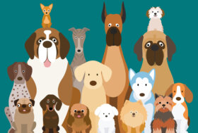 Manuale didattico: Il Cane e le sue potenzialità. Il nuovo libro di Piero Acquaro