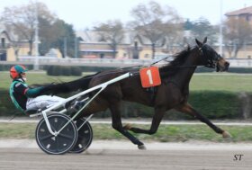 Arcoveggio: resoconto delle corse di giovedì 23 febbraio